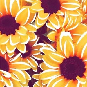 Meet your Posher, Isabelle